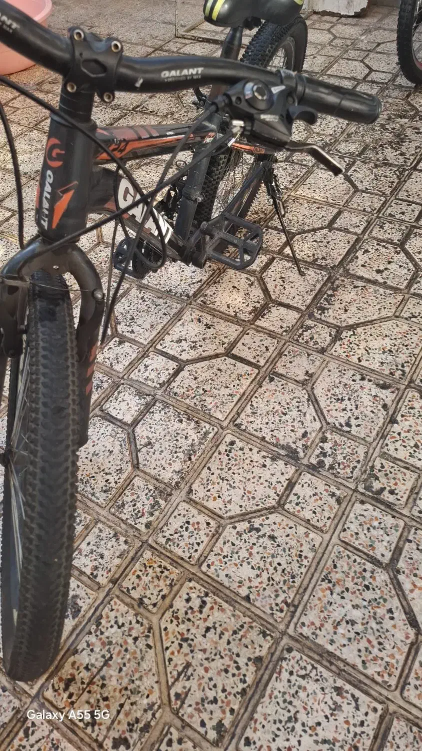 دوچرخه|دوچرخه، اسکیت، اسکوتر|قرچک, زیبا شهر|دیوار