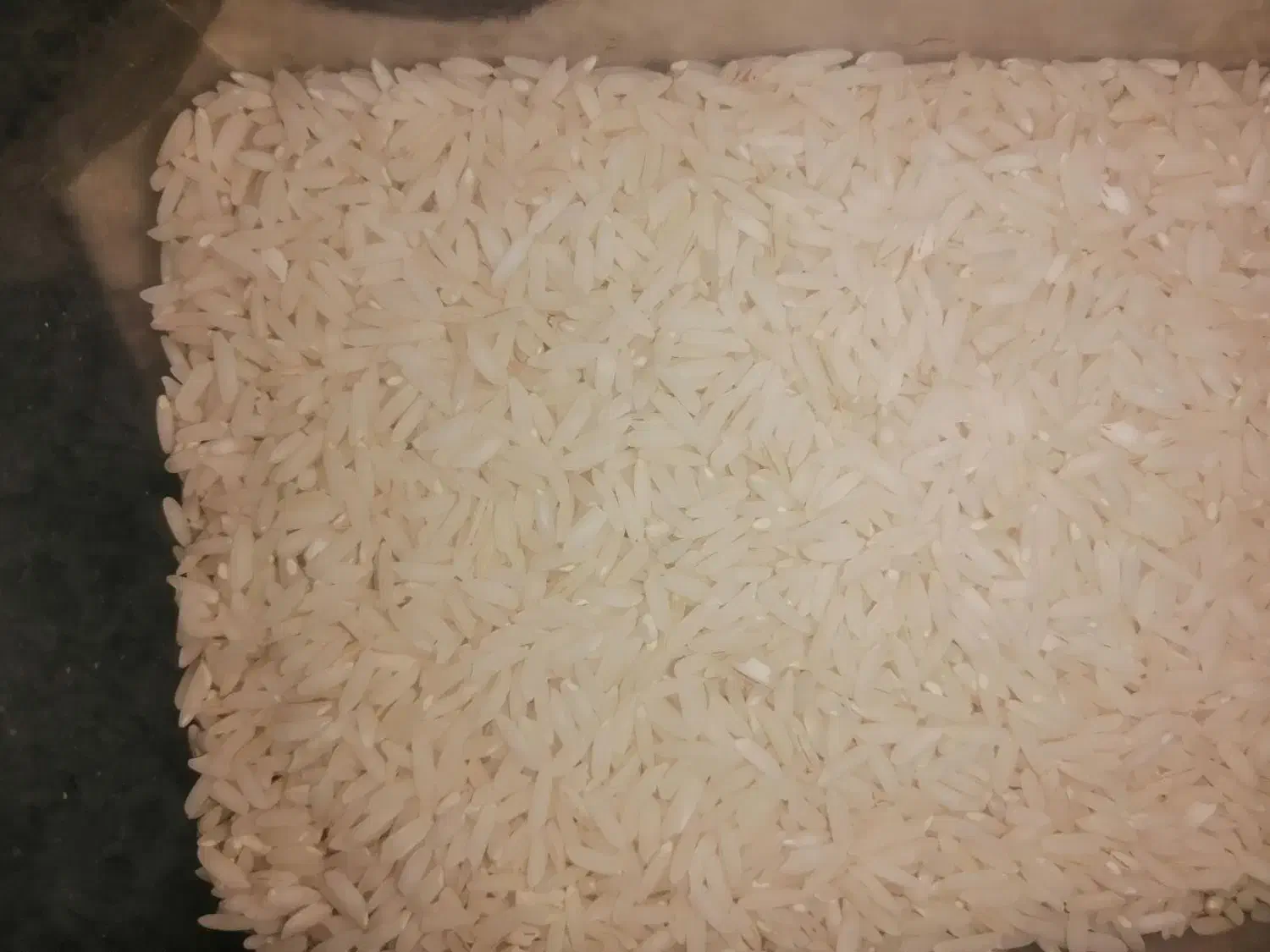 برنج هاشمی اصیل استان گیلان|خوردنی و آشامیدنی|یزد, |دیوار