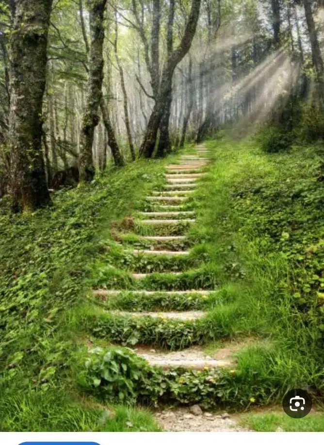 راهنمایی|فعالیت داوطلبانه|کرج, مهرویلا جنوبی|دیوار