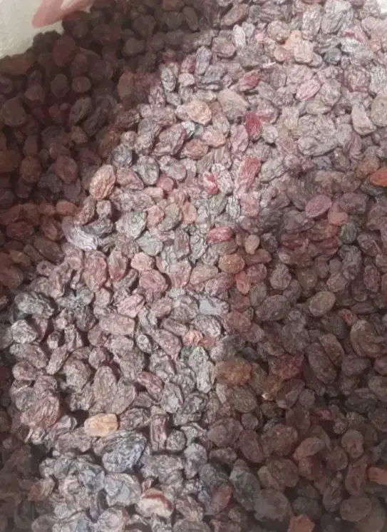 کشمش آفتابی بدون بدون سم|خوردنی و آشامیدنی|تهران, خانی آباد نو شمالی|دیوار