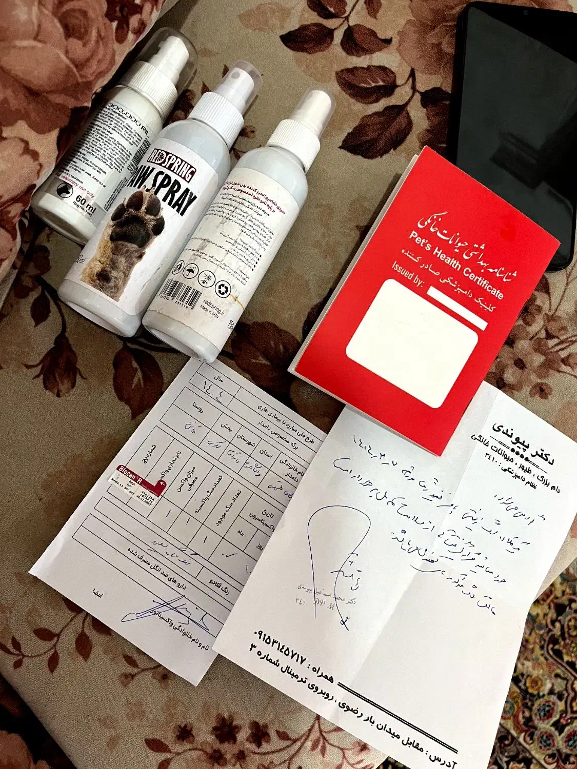 سگ پامرانین با وسایل ( خانگی ) شناسنامه دار|سگ|قائن, |دیوار