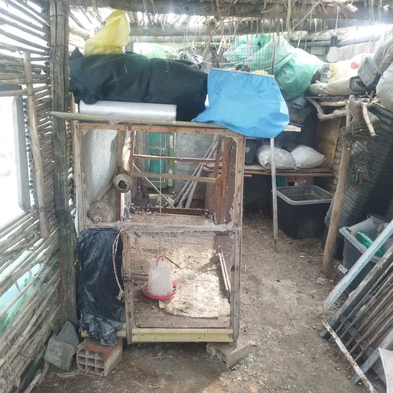 قفس|لوازم جانبی حیوانات|خان ببین, |دیوار