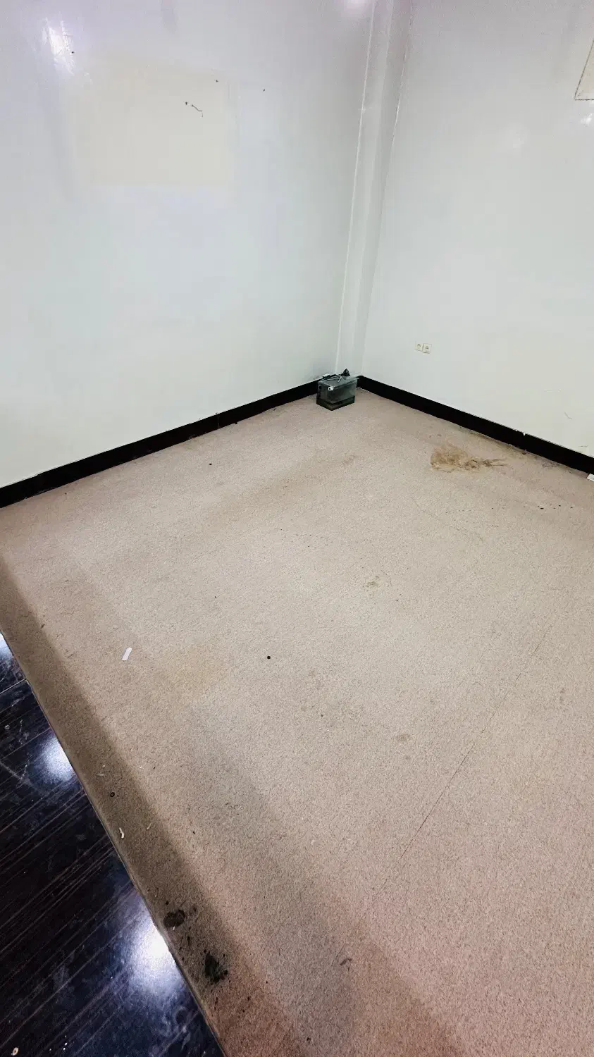 موکت دست دوم قیمت مناسب|موکت|دوگنبدان, |دیوار