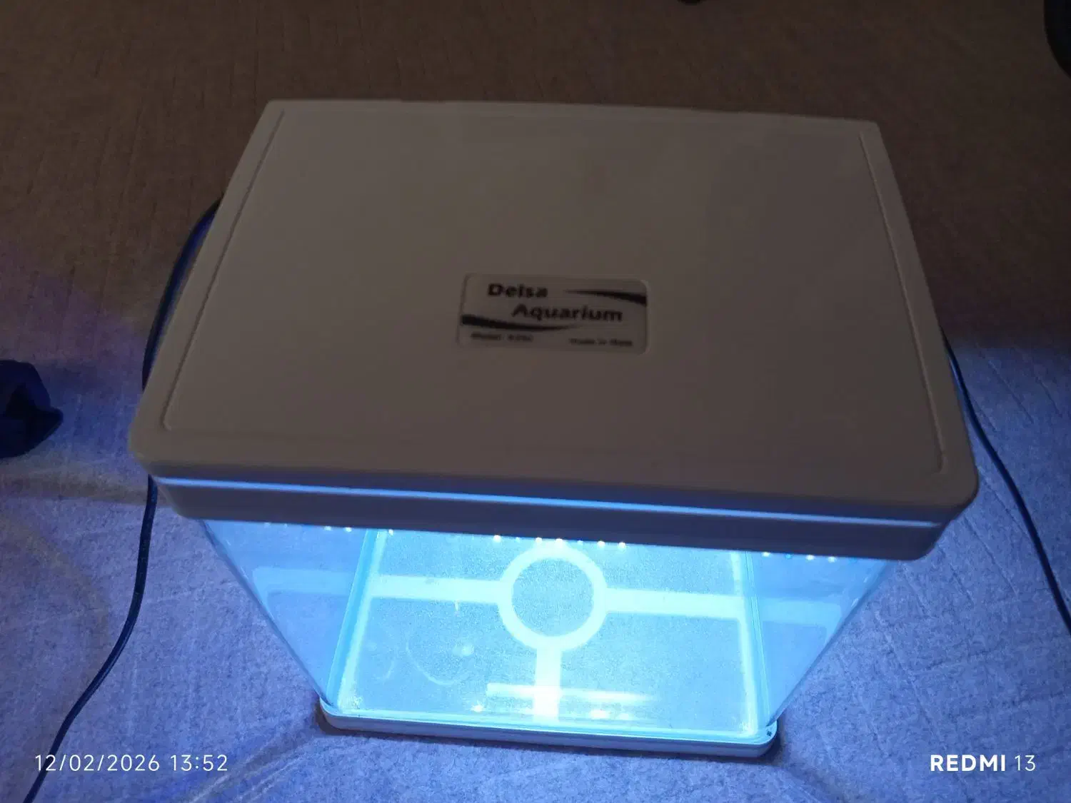 آکواریوم|ماهی|خرم‌آباد, |دیوار