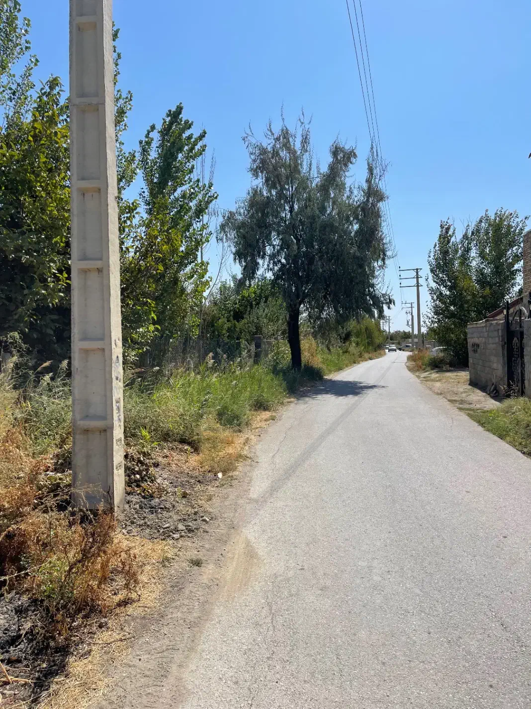 باغ و باغچه الوان بر جاده اصلی|فروش دفتر صنعتی، کشاورزی، تجاری|ارومیه, |دیوار