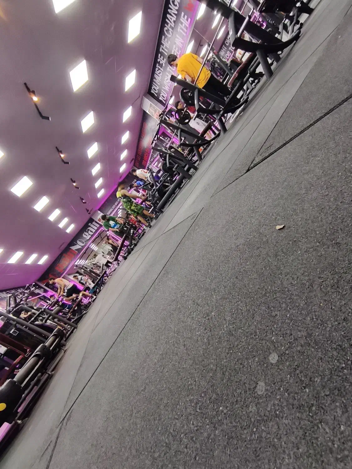 باشگاه بدنسازی پلاتو|تجهیزات ورزشی|شاهینشهر, فدک|دیوار