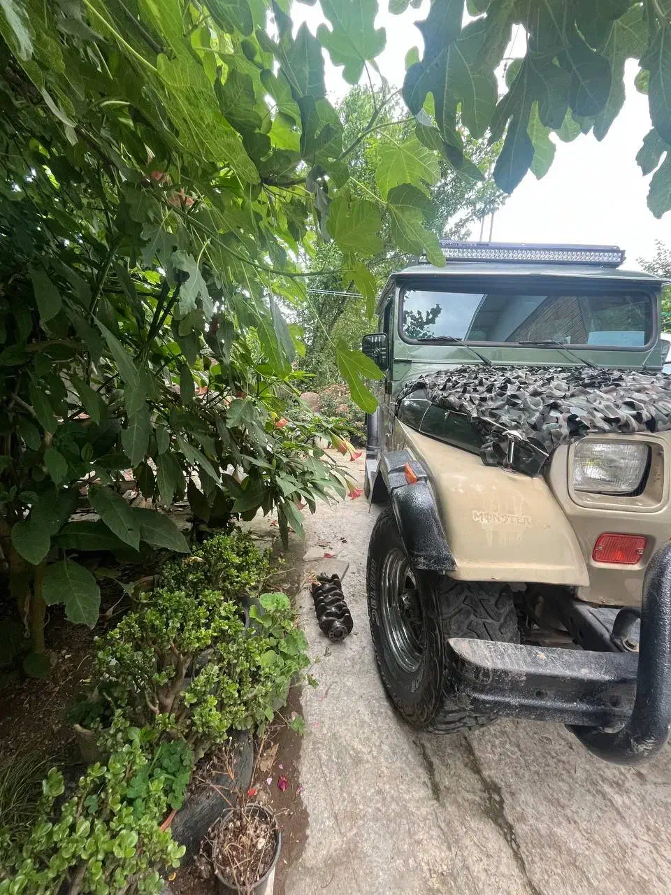 چیپ صحرا موتور ۲هزار میتسوبیشی مدل ۱۹۹۹|خودرو سواری و وانت|تالش, هشتپر|دیوار