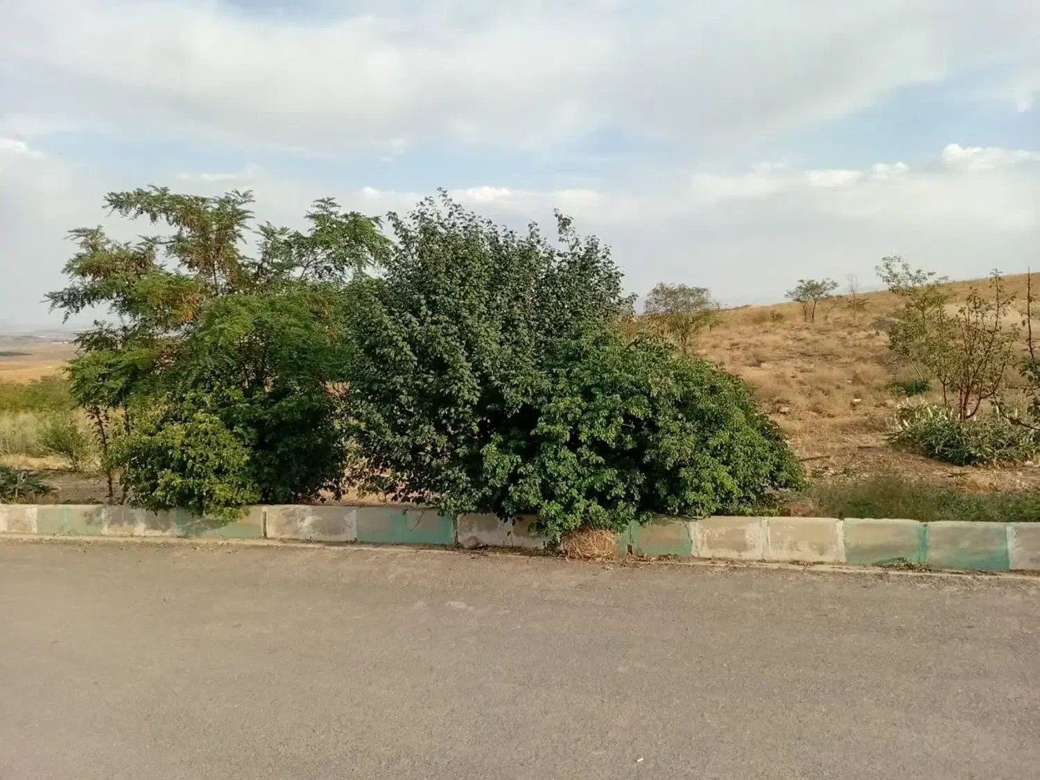 ویلای 180 متری|فروش خانه و ویلا|قم, باغ شریفی|دیوار