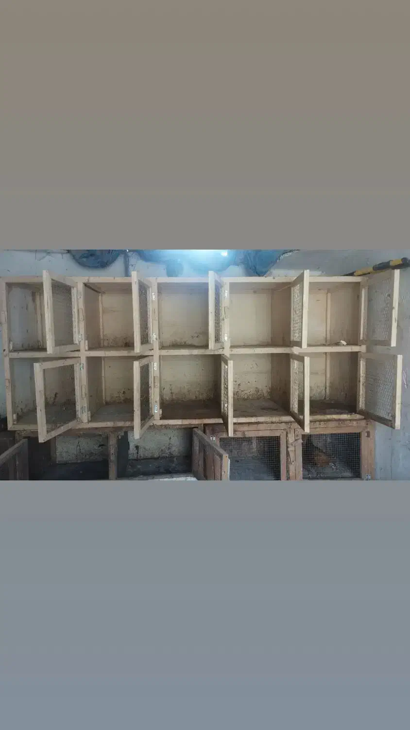 فروش جفت کن کبوتر|لوازم جانبی حیوانات|بابل, |دیوار