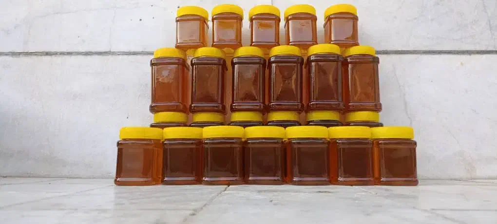 فروش مستقیم محصولات طبیعی (عسل باموم،عسل،ژل رویال)|خوردنی و آشامیدنی|داراب, |دیوار