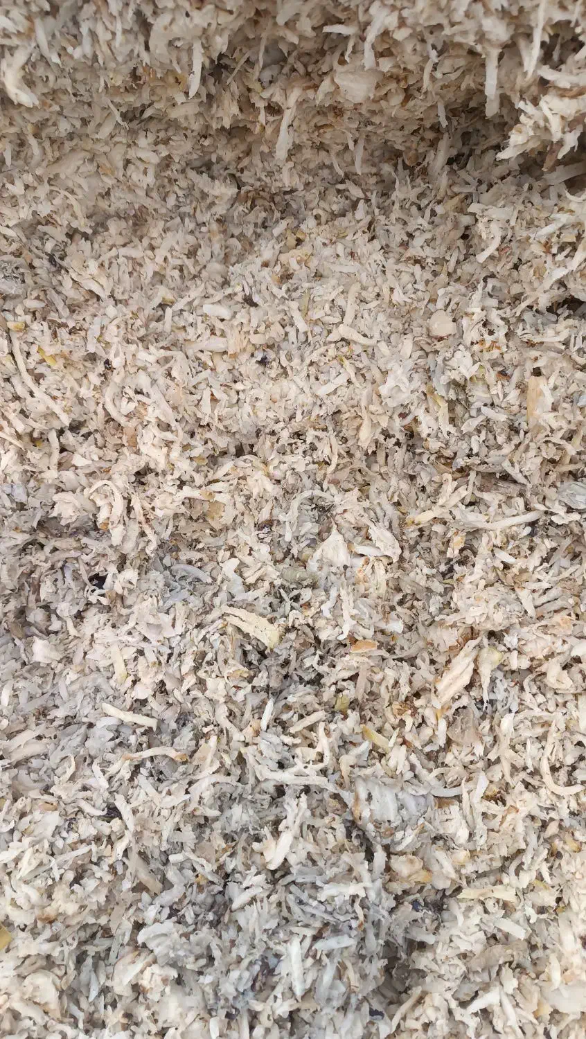 تفاله چغندر|لوازم جانبی حیوانات|خنداب, |دیوار