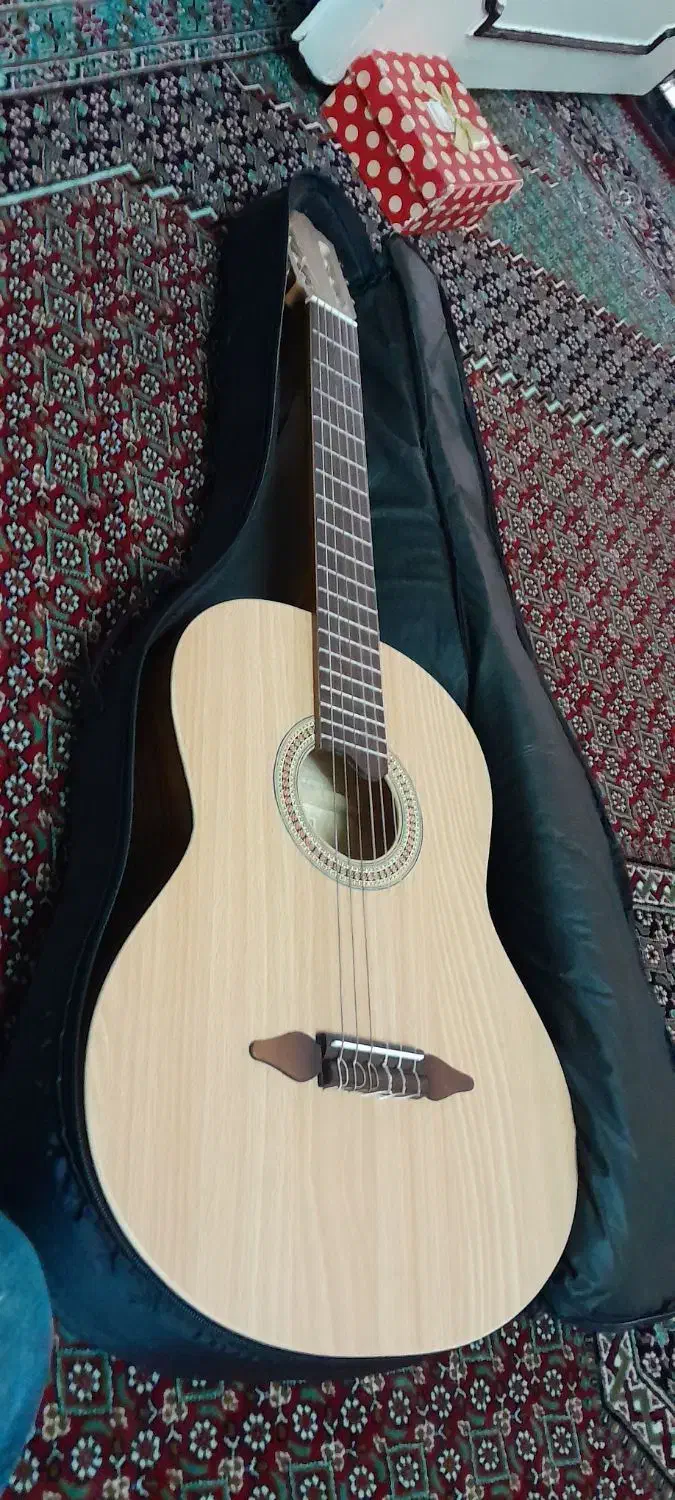 گیتار نو نو|گیتار، بیس، امپلیفایر|اقبالیه, |دیوار