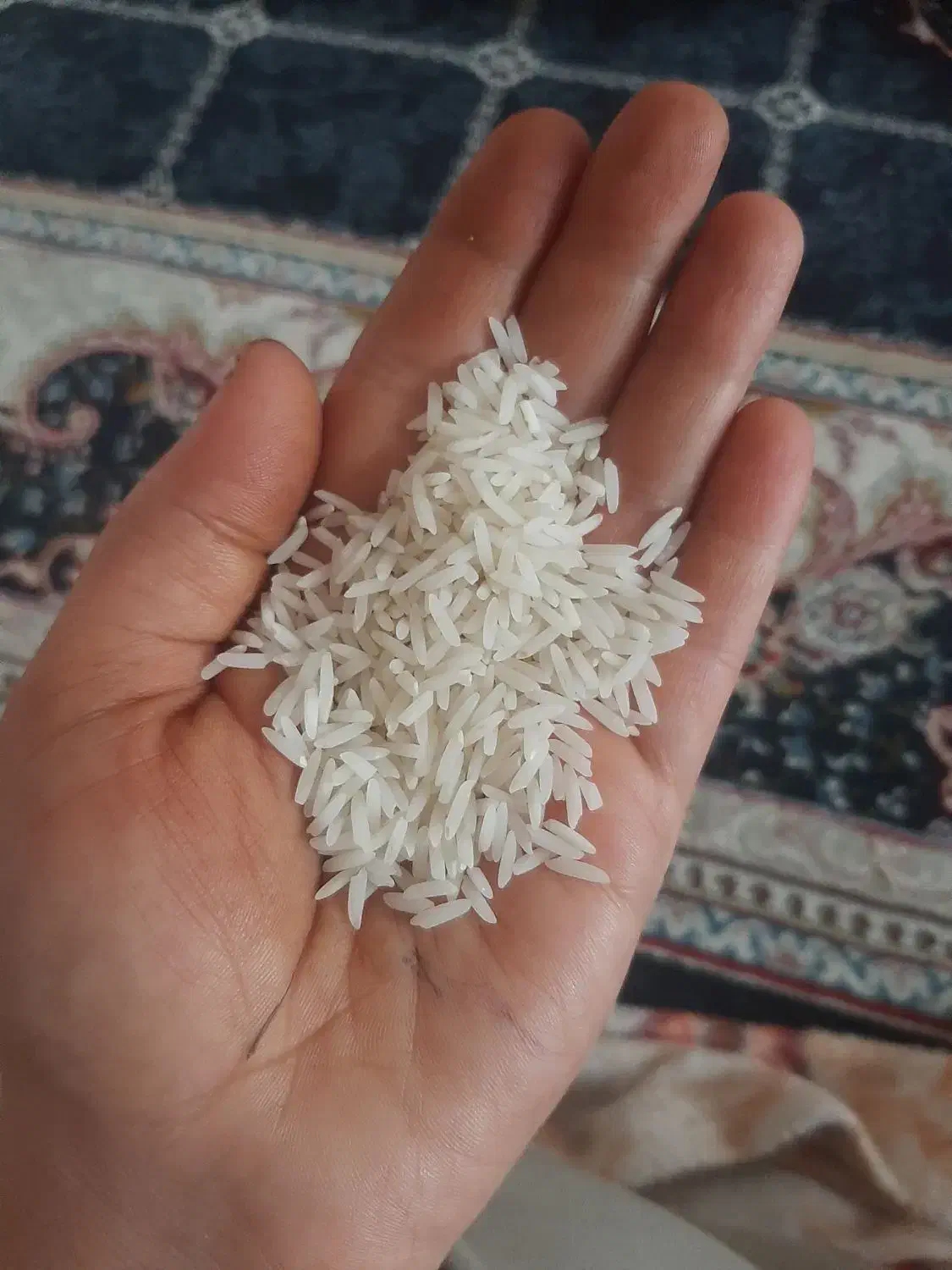 برنج دم سیاه|خوردنی و آشامیدنی|شفت, |دیوار