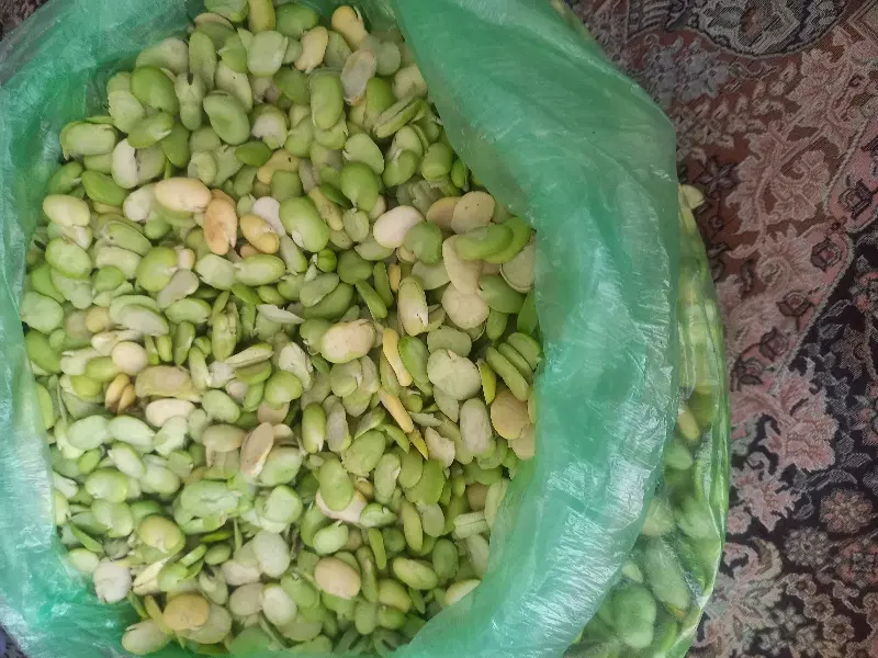 باقالی|خوردنی و آشامیدنی|نیشابور, خیام|دیوار