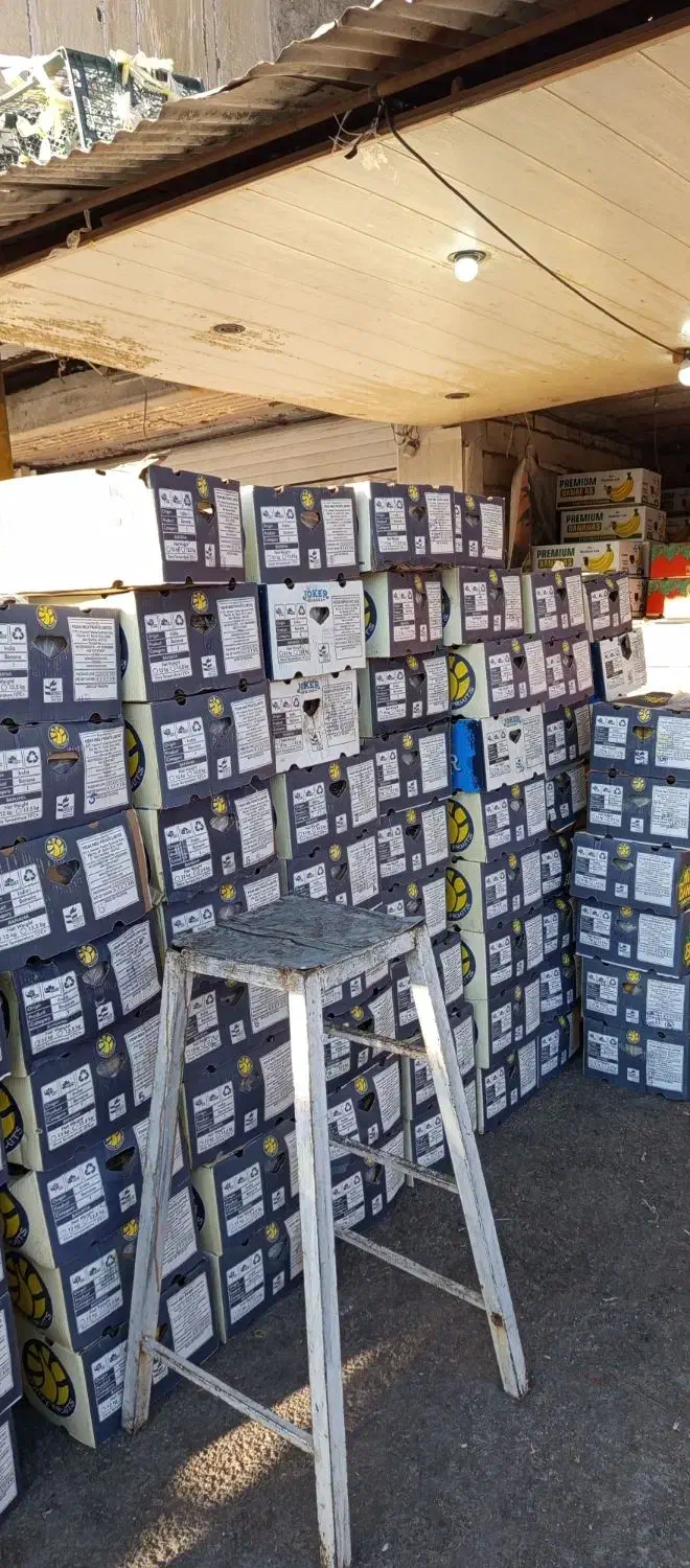 موز درجه یک|عمدهفروشی|یاسوج, |دیوار