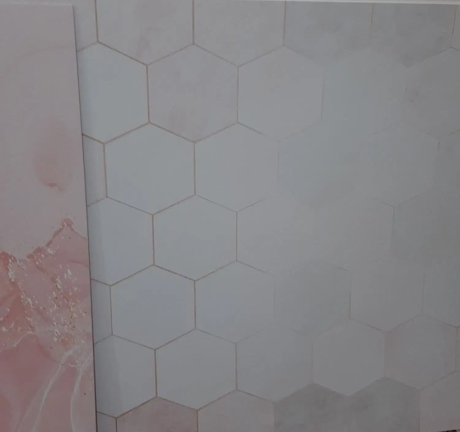 بگراند عکاسی|دوربین عکاسی و فیلم‌برداری|اهواز, مستغلات|دیوار