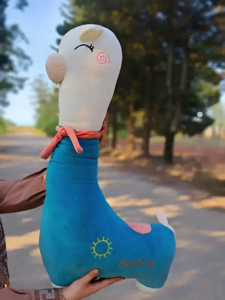 عروسک|اسباب‌‌بازی|کلاچای, |دیوار