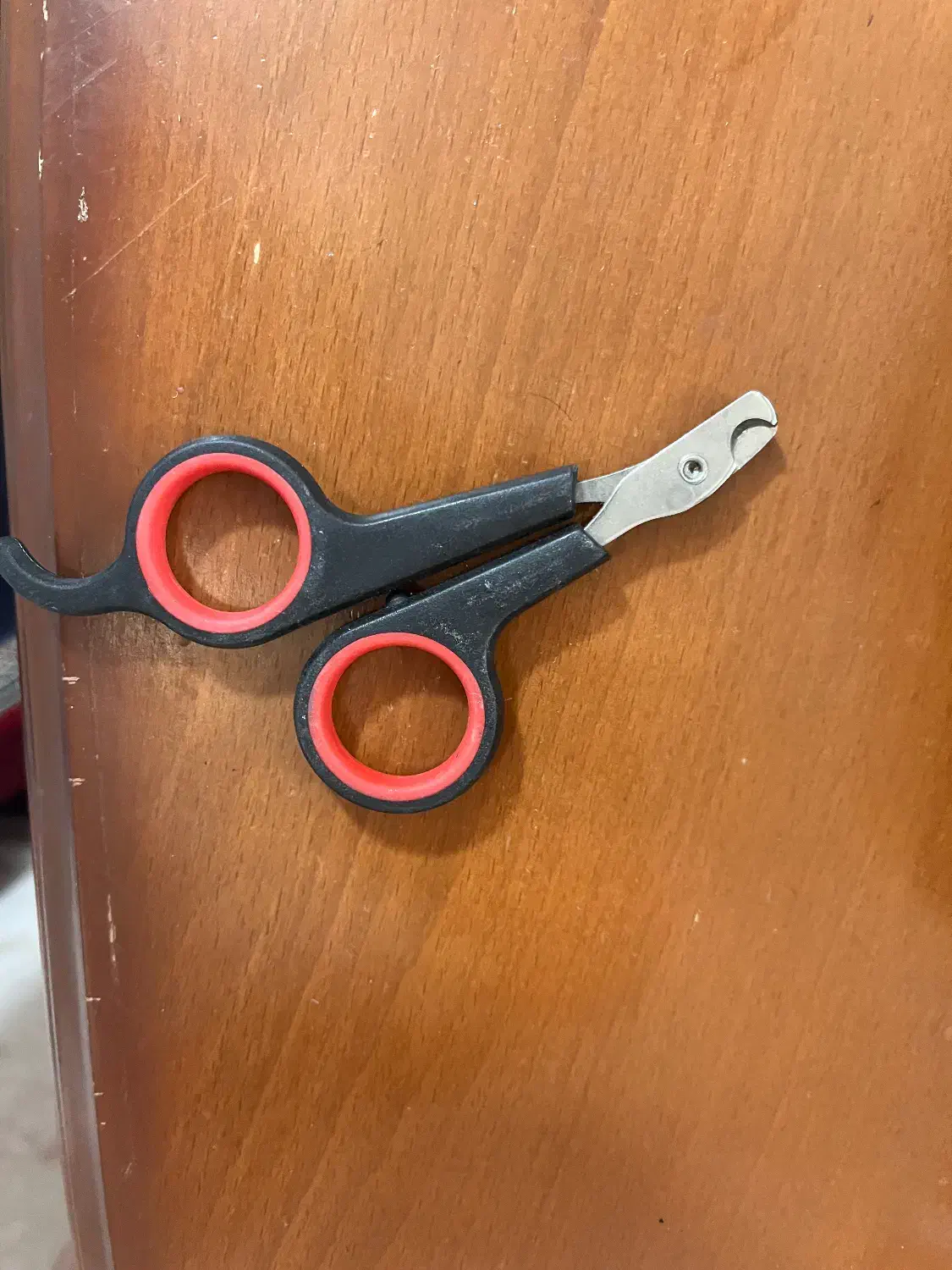 ناخن گیر سگ و گربه|لوازم جانبی حیوانات|قم, انصار‌الحسین|دیوار