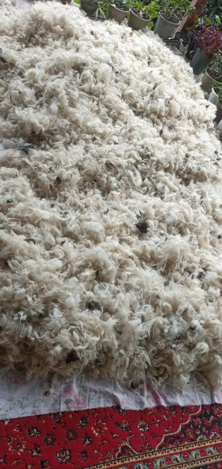 پشم گوسفند .شسته شده|رختخواب، بالش، پتو|شفت, |دیوار