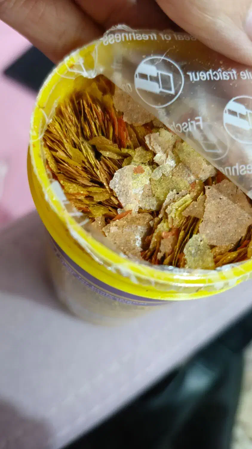 غذا ماهی جی بی ال نو|ماهی|ری, دولتآباد|دیوار