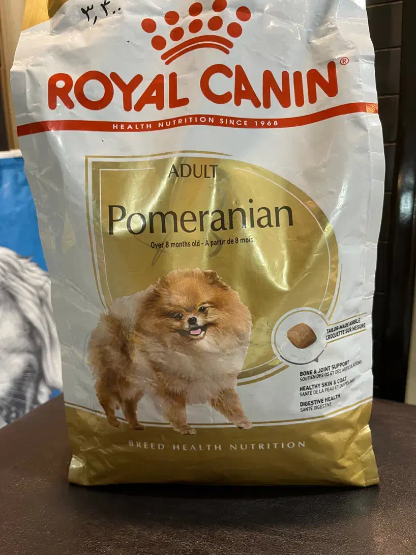 کیتن رویال کنین،پامر رویال و پاپی|لوازم جانبی حیوانات|شیراز, باغ تخت|دیوار