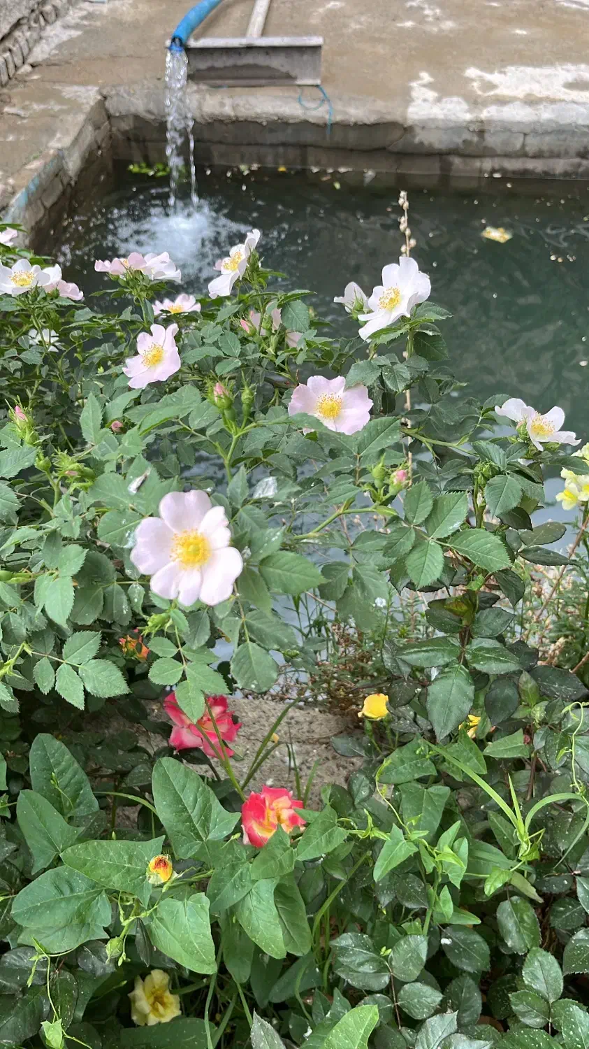 ۳۰۰۰ متر ملک صنعتی با مجوز|فروش دفتر صنعتی، کشاورزی، تجاری|اراک, |دیوار