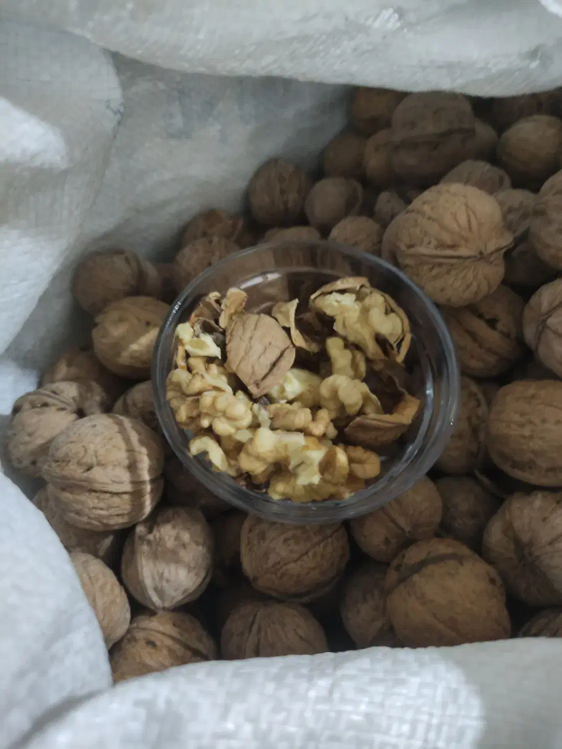 گردو درجه یک مناطق سرد سیرکوهستانی شاه جهان|حراج|تهران, خلیج فارس|دیوار