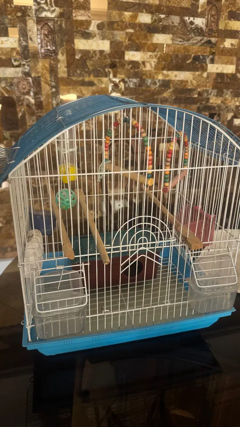 قفسه پرنده|لوازم جانبی حیوانات|کرج, مهرویلا جنوبی|دیوار