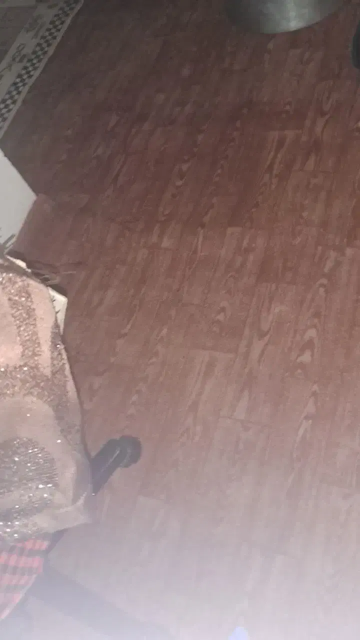 موکت|موکت|مبارکه, |دیوار