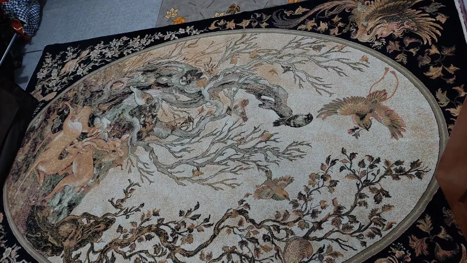 قالی ۶متری|فرش|جیرفت, |دیوار