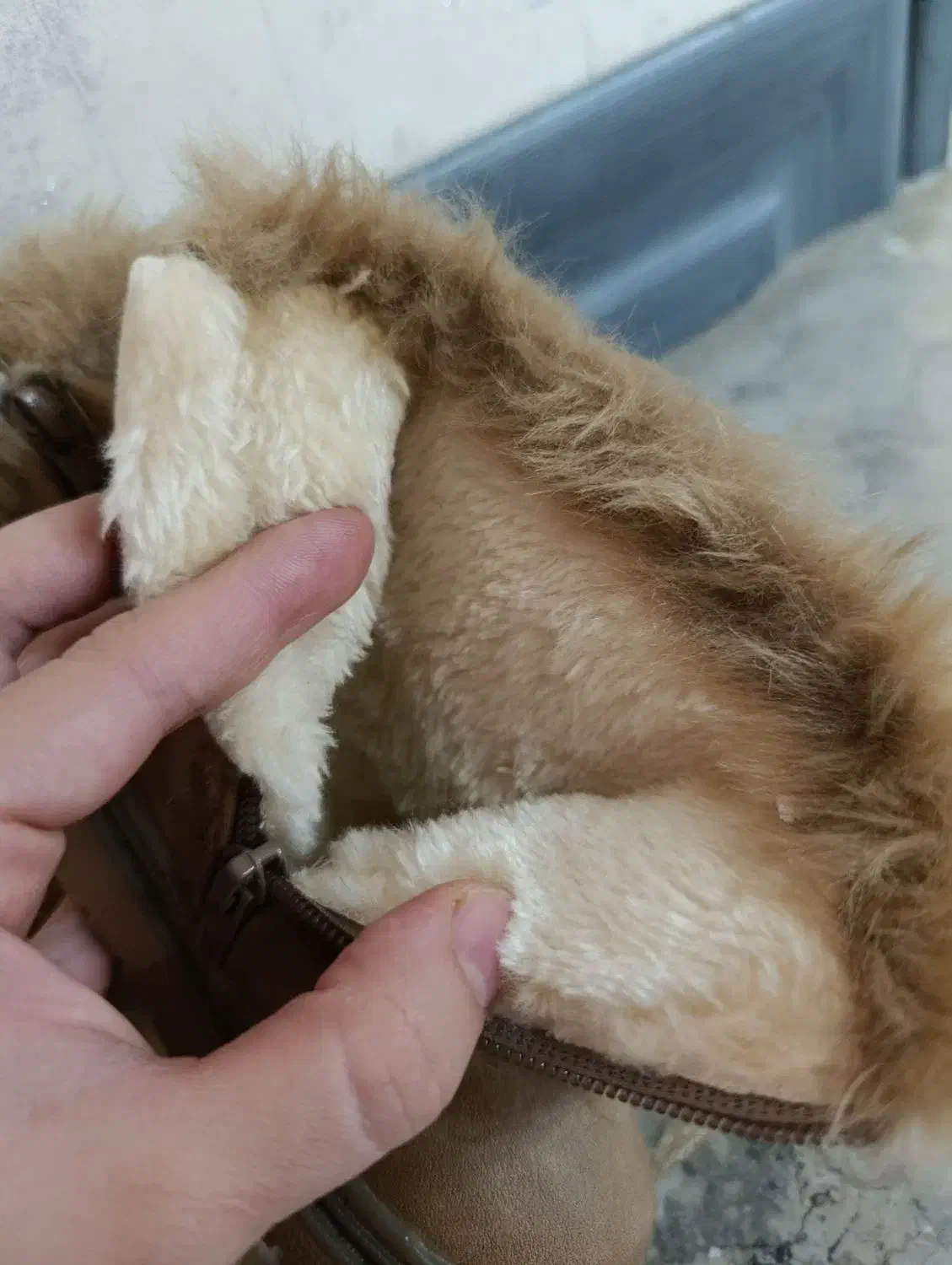 کفش بچگانه|کیف، کفش، کمربند|یزد, |دیوار