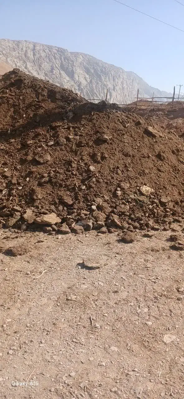 کود گوسفندی|گل و گیاه طبیعی|پیر بکران, |دیوار