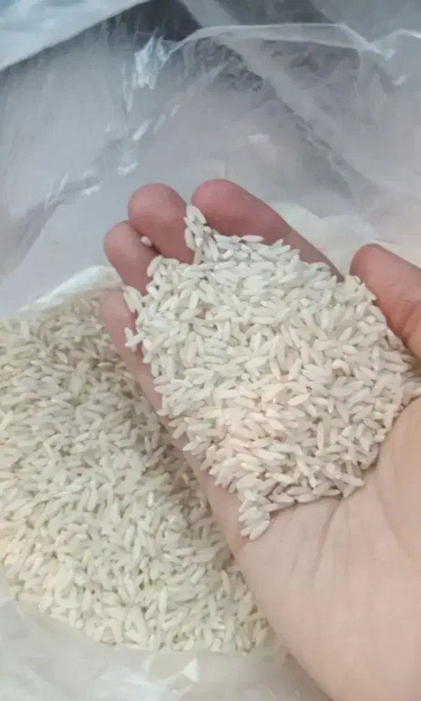 برنج صدری هاشمی|خوردنی و آشامیدنی|تهران, بهمن یار|دیوار