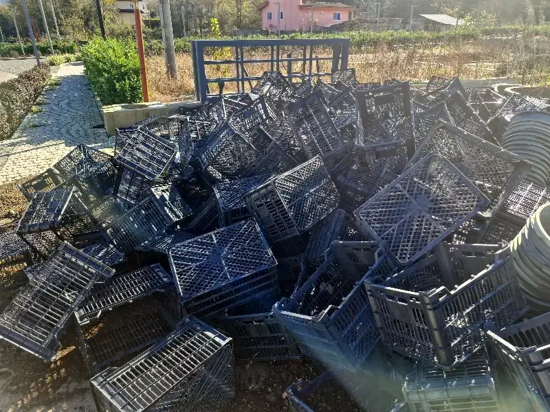 سبد میوه و گدان|عمدهفروشی|کلارآباد, |دیوار