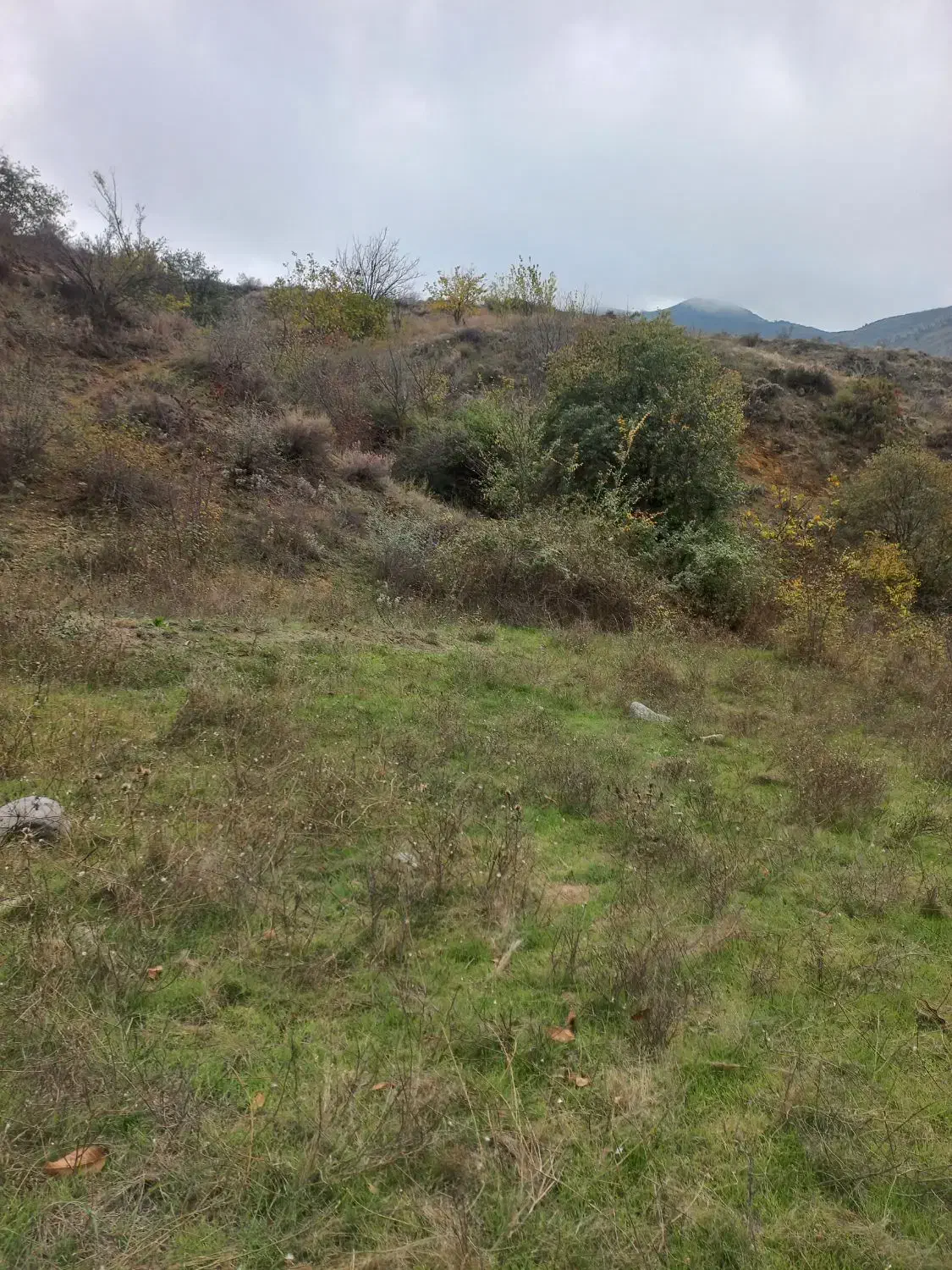 فروش زمین زراعی ومسکونی در منطقه معاینه فنی کلیبر|فروش دفتر صنعتی، کشاورزی، تجاری|کلیبر, |دیوار