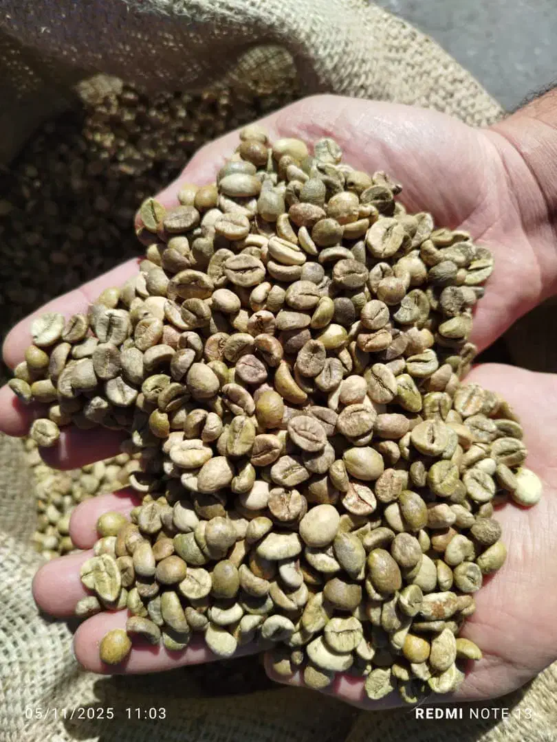 فروش ویژه مخصوص|عمدهفروشی|شیراز, حومه شیراز|دیوار