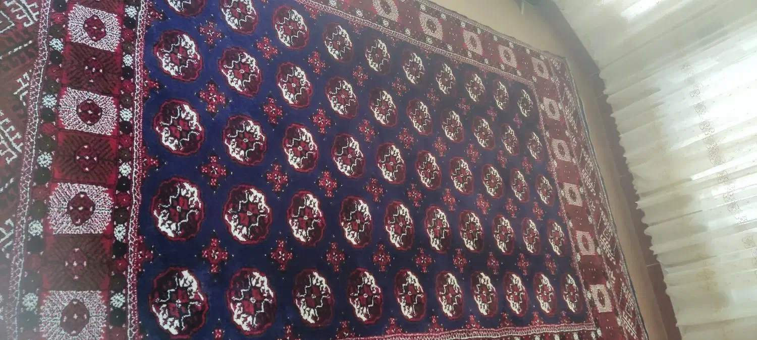 قالی دست بافت|فرش|آق قلا, |دیوار