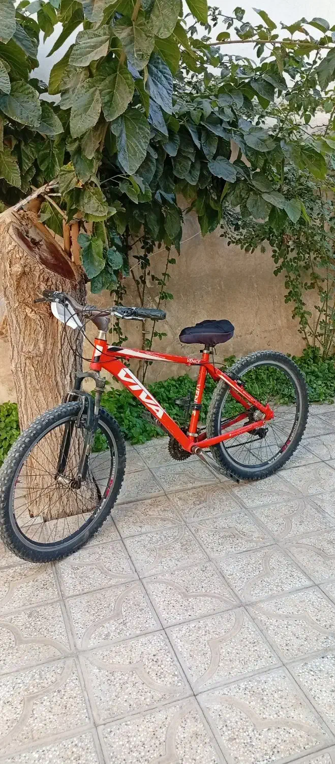 دوچرخه۲۶|دوچرخه، اسکیت، اسکوتر|تربتحیدریه, مسجد جامع|دیوار