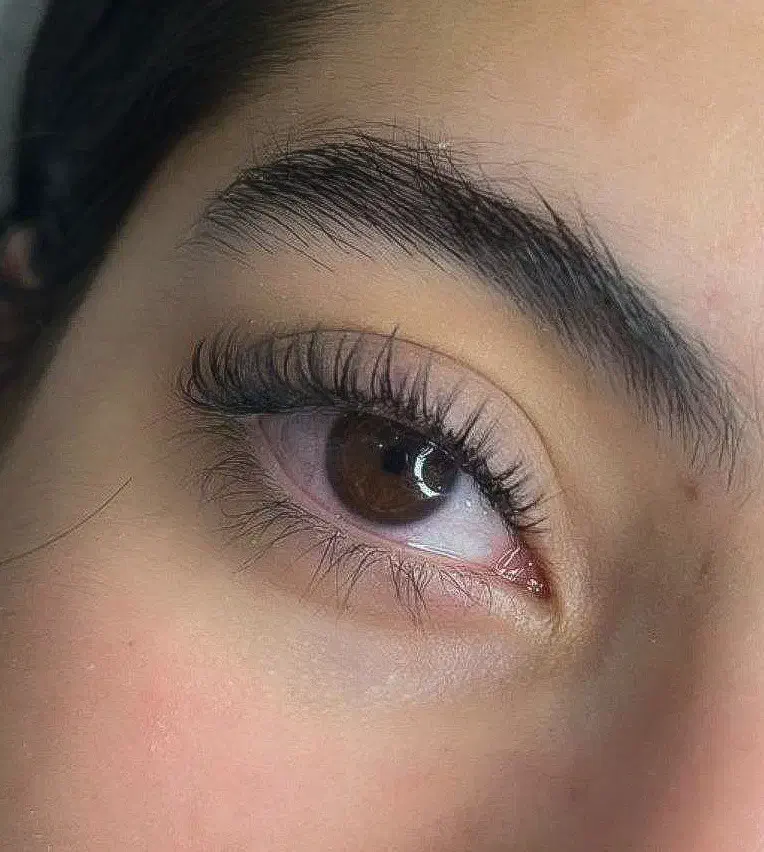 مدل اکستنشن مژه|خدمات آرایشگری و زیبایی|تهران, امیرآباد|دیوار