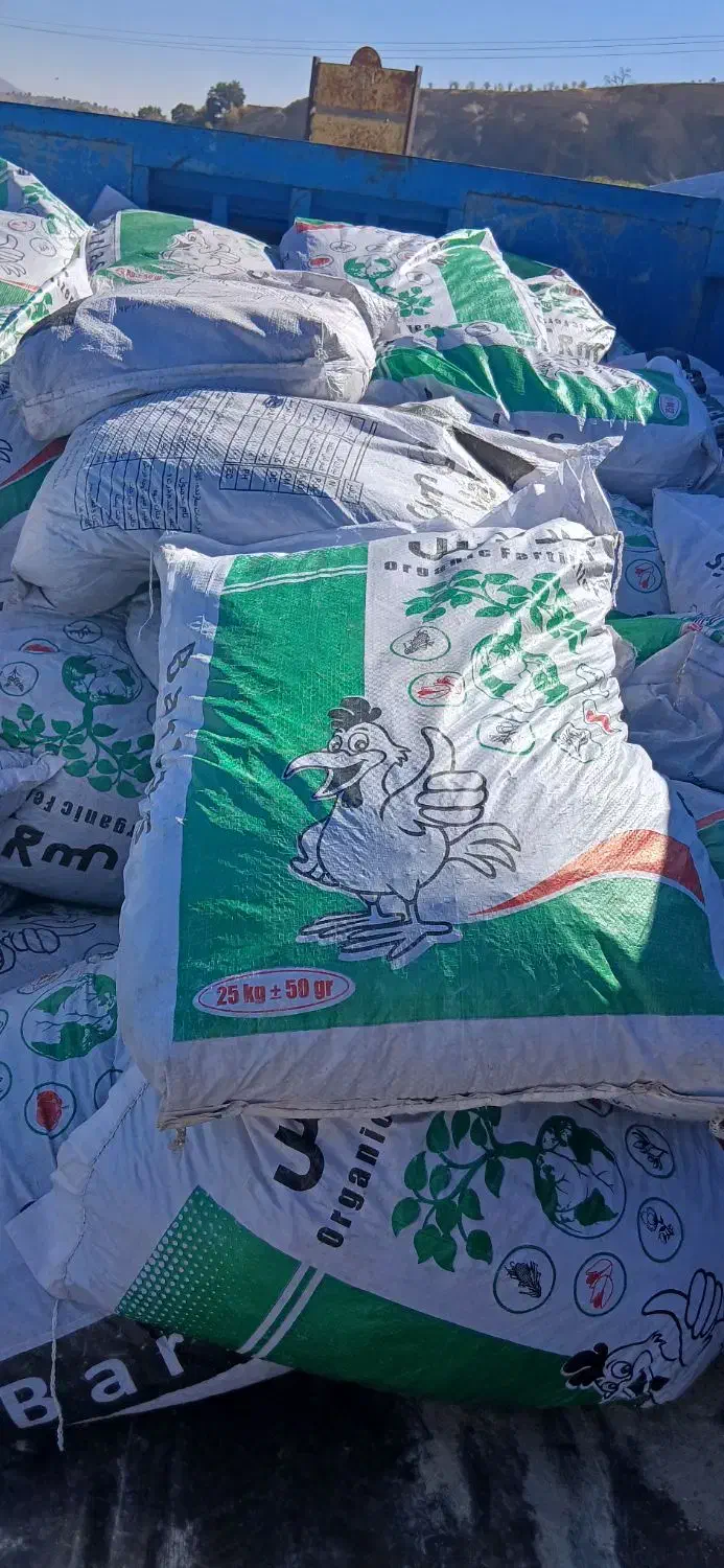 کودمرغی به قیمت عمده|عمده‌فروشی|شاهیوند, |دیوار