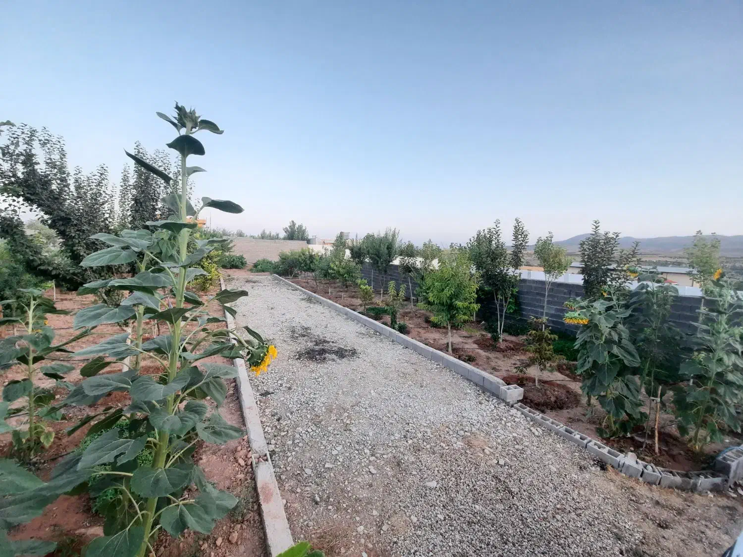 فروش باغ شهری نزدیک شیراز|فروش خانه و ویلا|ارژن, |دیوار