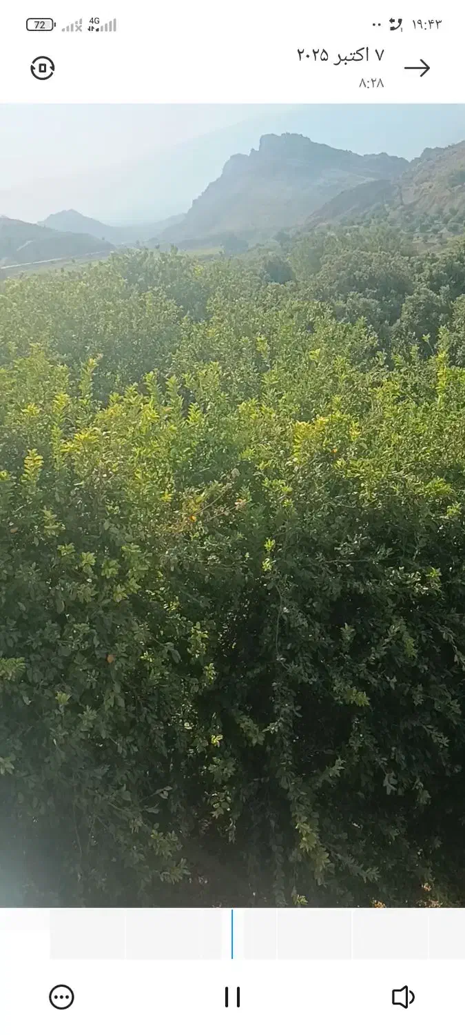 دو هکتار زمین تجاری و باغی|فروش زمین و ملک کلنگی|راهگان, |دیوار