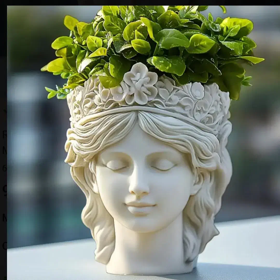 گلدان|گل و گیاه طبیعی|امیدیه, |دیوار