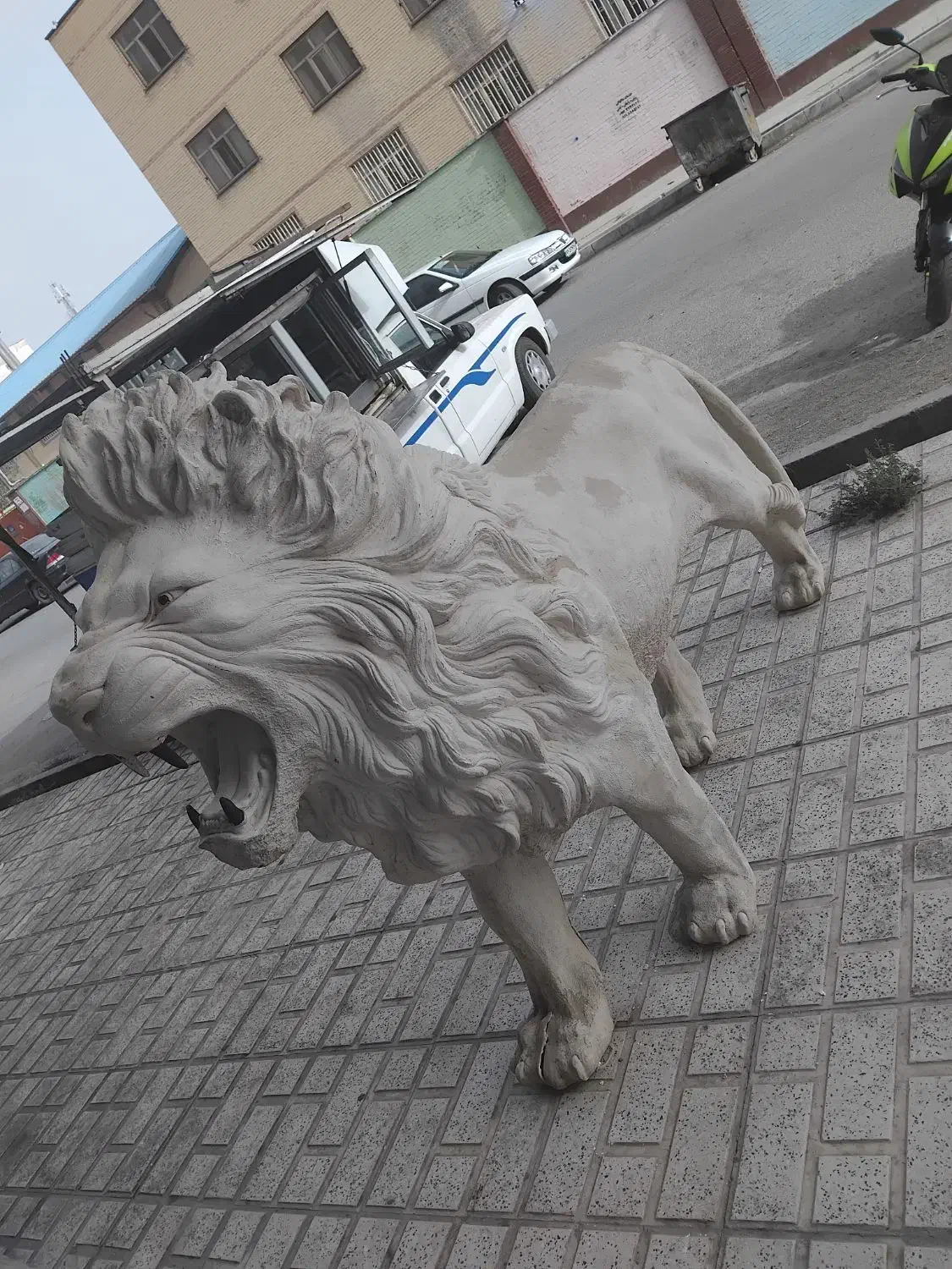 مجسمه فایبر شیر|مصالح و تجهیزات ساختمان|اسلام‌شهر, شهرک قائمیه|دیوار