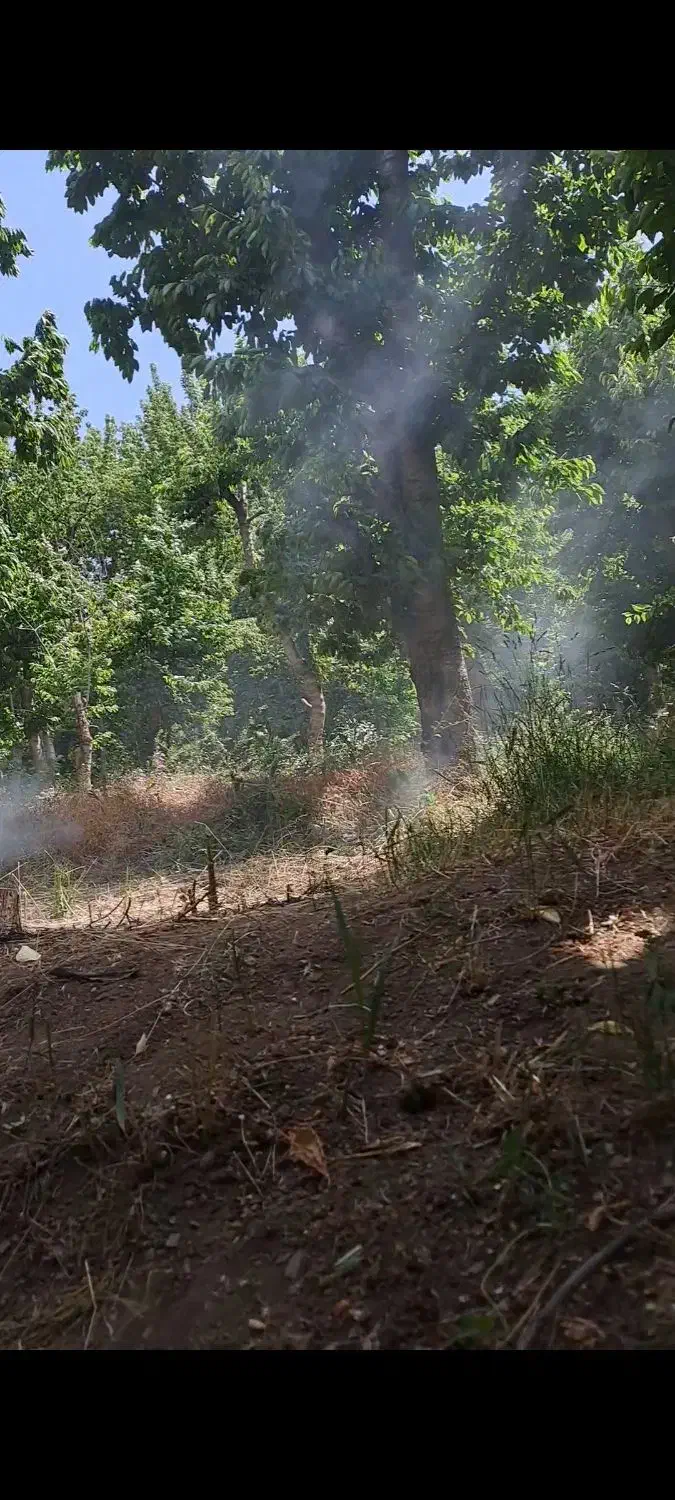 باغچه|فروش زمین و ملک کلنگی|کن, |دیوار