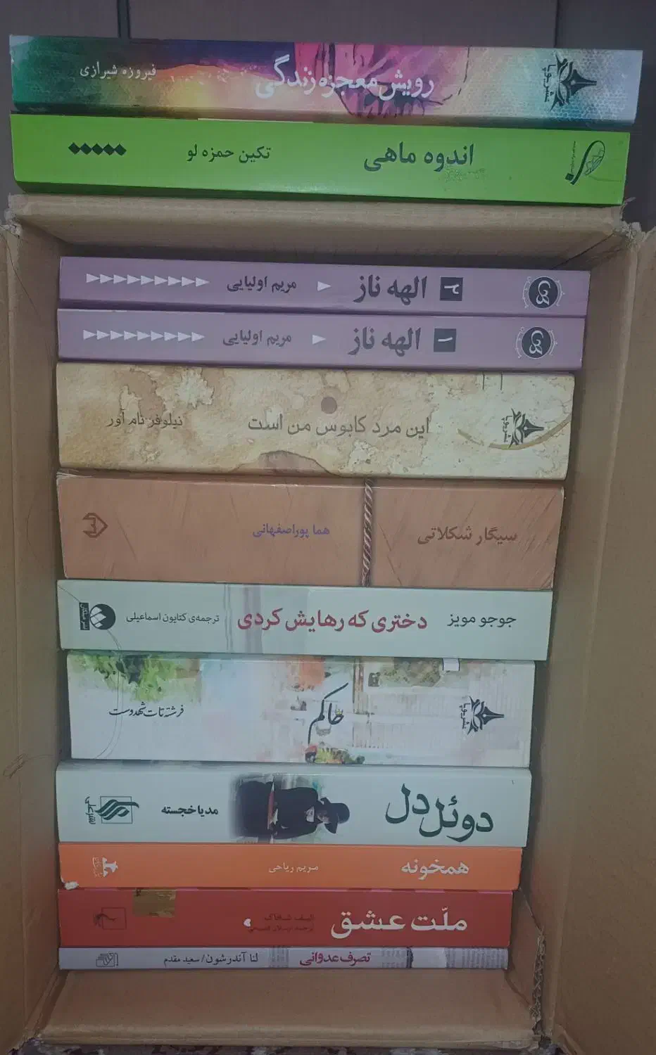 کتاب رمان ایرانی|کتاب و مجله ادبی|قم, نیروگاه|دیوار