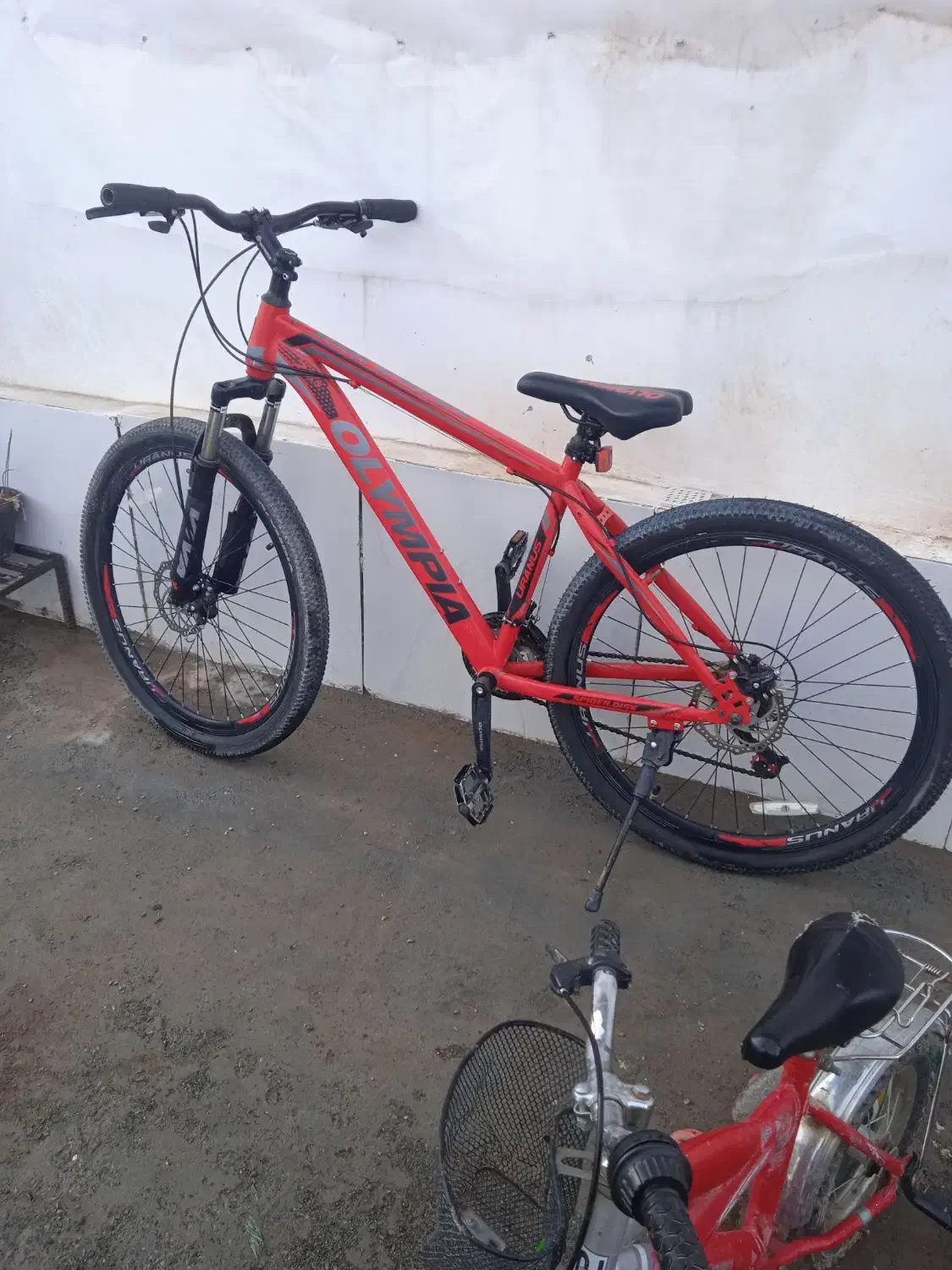 دوچرخه|دوچرخه، اسکیت، اسکوتر|بیرجند, |دیوار