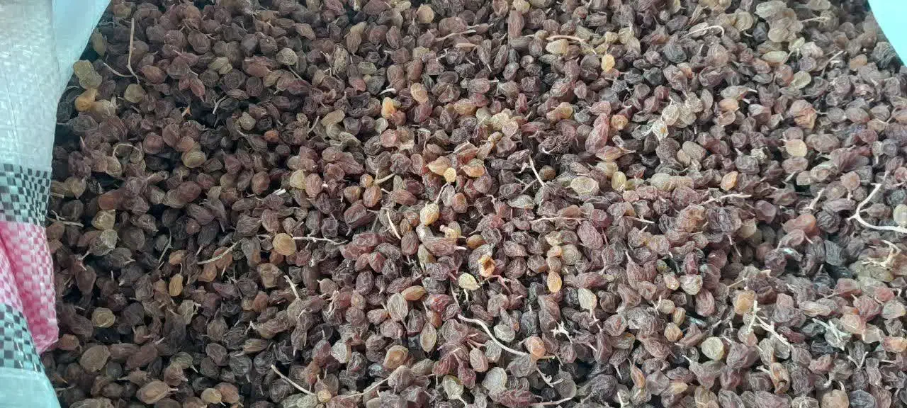 کشمش عسگری اعلا|خوردنی و آشامیدنی|شازند, |دیوار