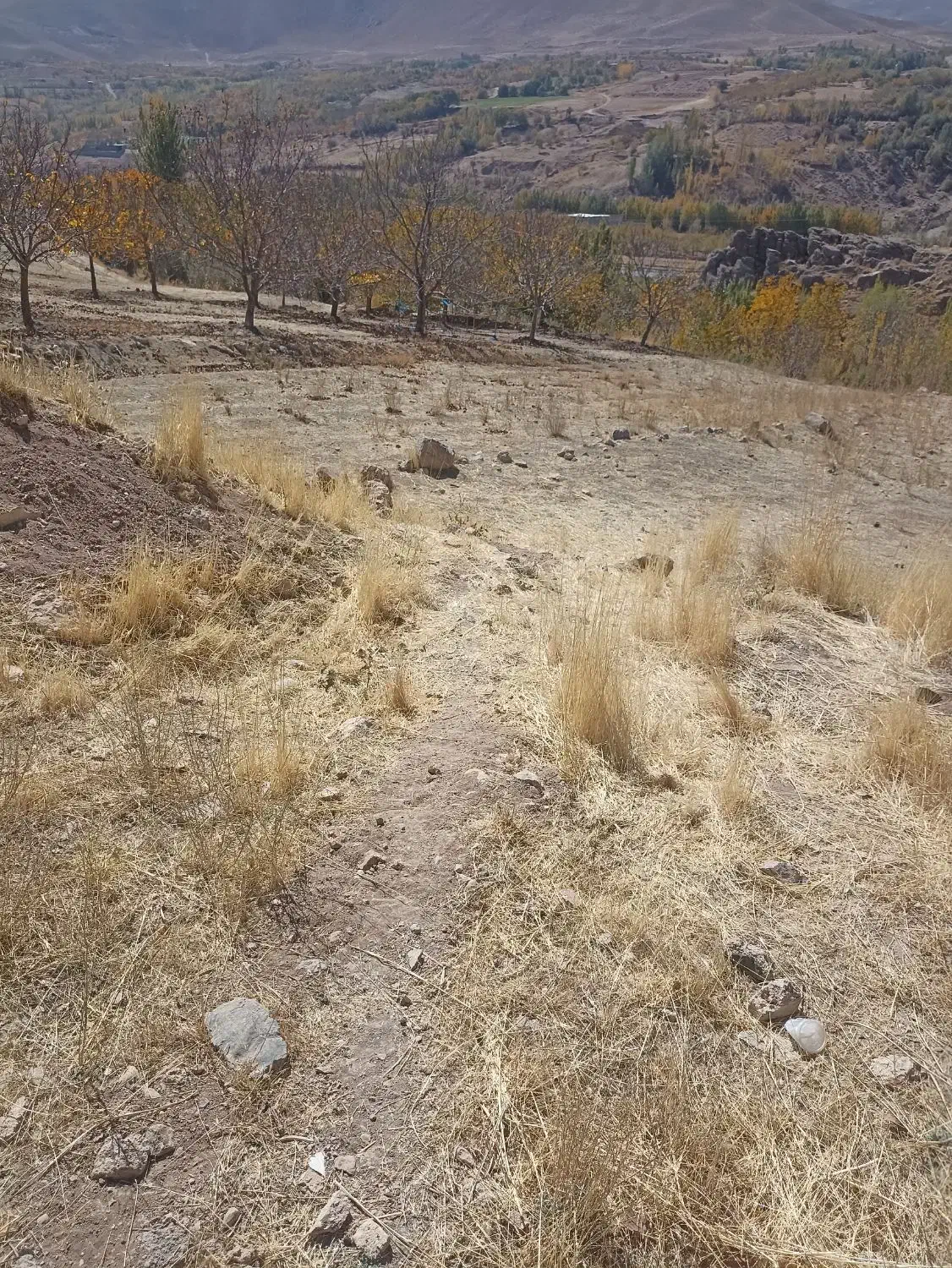 حول وحوش 200مترزمین روبه روی کلانتری جدید|فروش زمین و ملک کلنگی|بابا حیدر, |دیوار