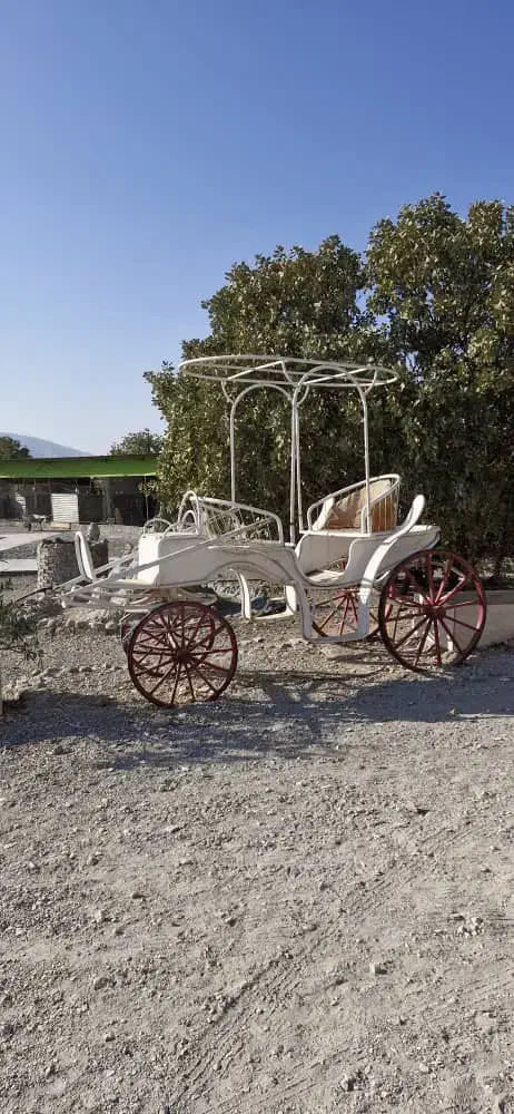 فروش کالسکه،  تجهیزات  سوارکاری|اسب و تجهیزات اسب‌سواری|ایلام, |دیوار